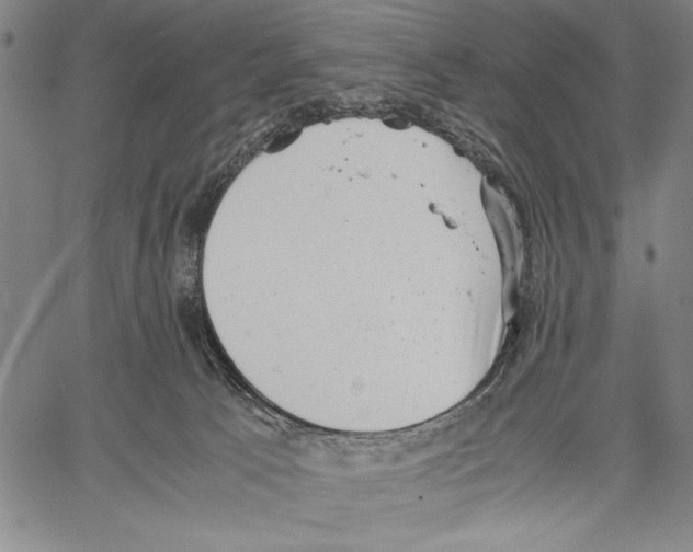 X0000060550033200512011628