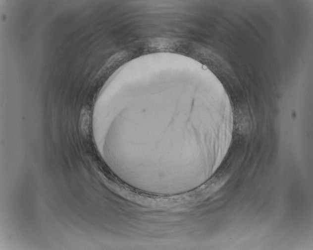 X0000060550036200512011627