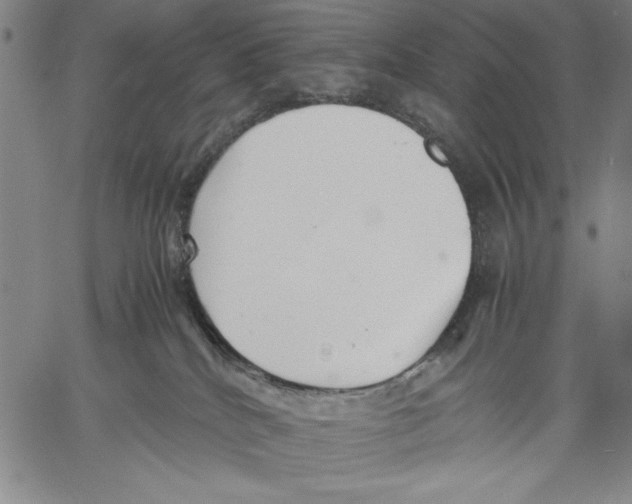 X0000060550040200512011627