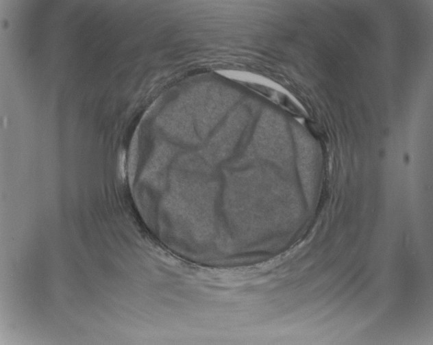 X0000060550041200512011627