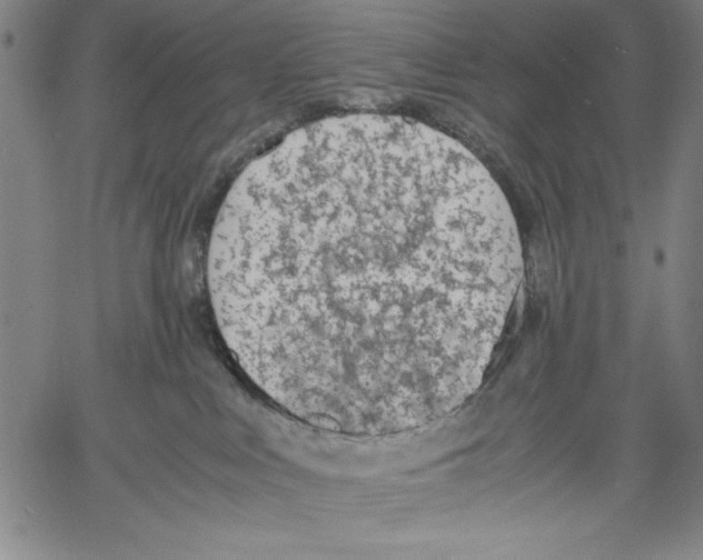 X0000060550043200512011627