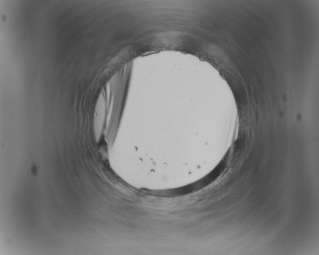 X0000060550045200512011627