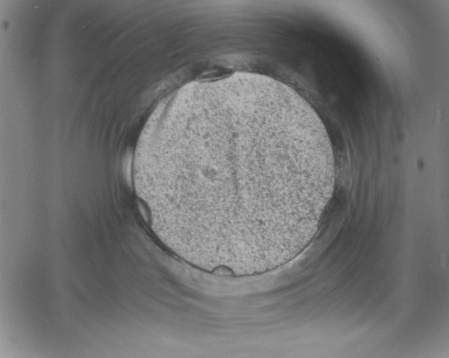 X0000060550047200512011627