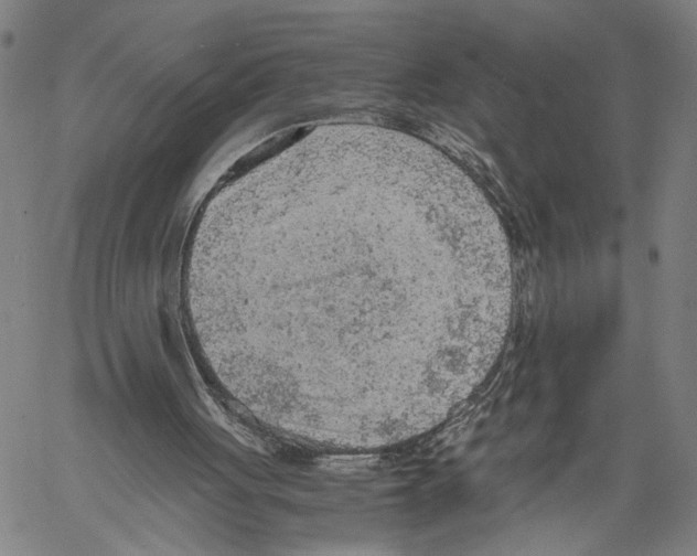 X0000060550051200512011626