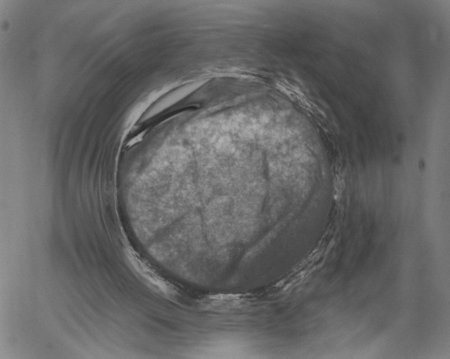 X0000060550052200512011627