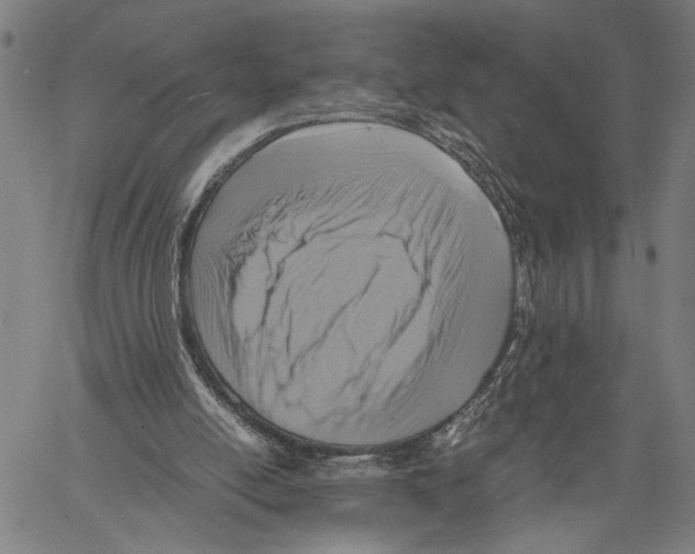 X0000060550054200512011627