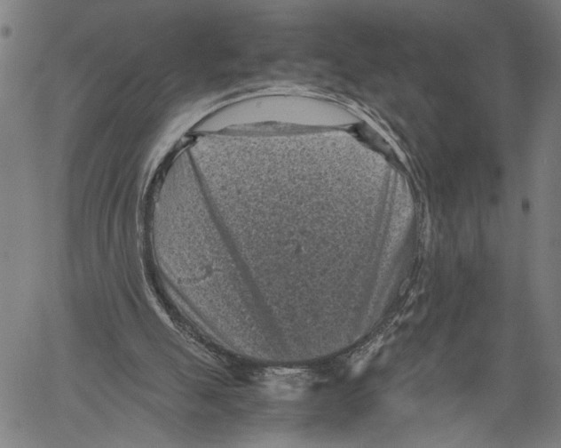 X0000060550055200512011627