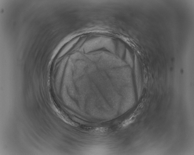 X0000060550056200512011627