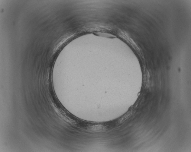 X0000060550058200512011627