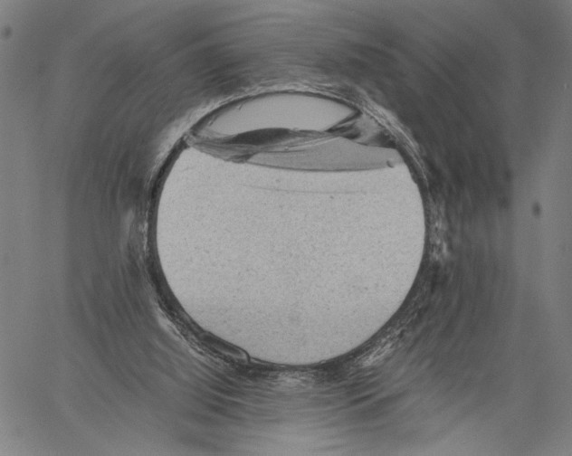 X0000060550060200512011627