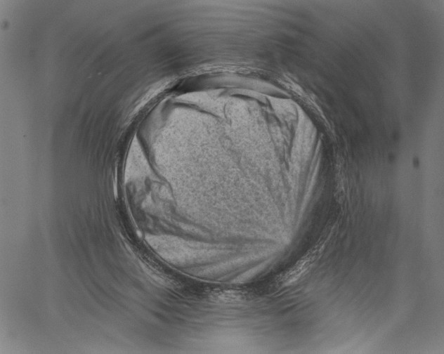 X0000060550062200512011627