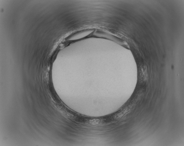 X0000060550064200512011627