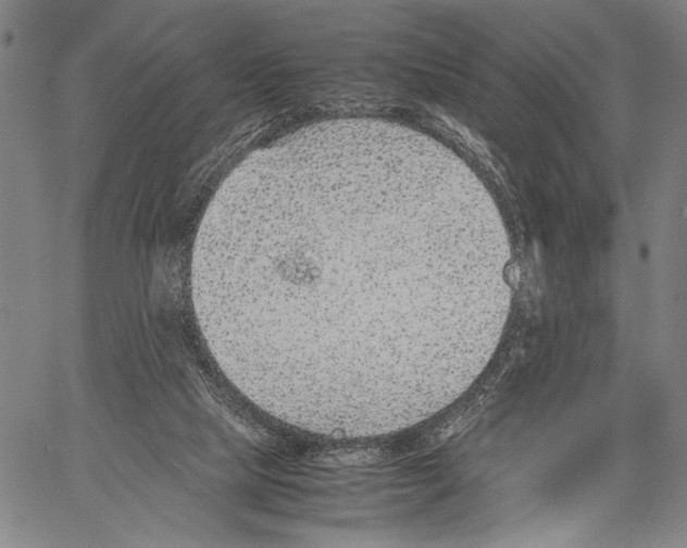 X0000060550065200512011627