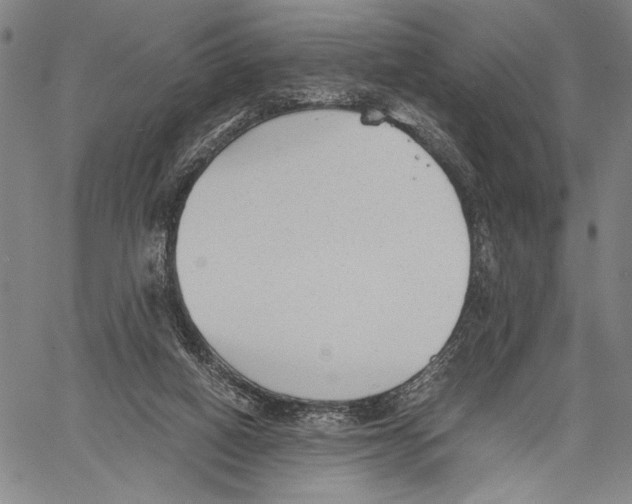 X0000060550066200512011627