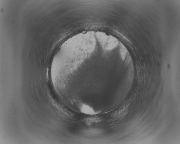 X0000060550067200512011627