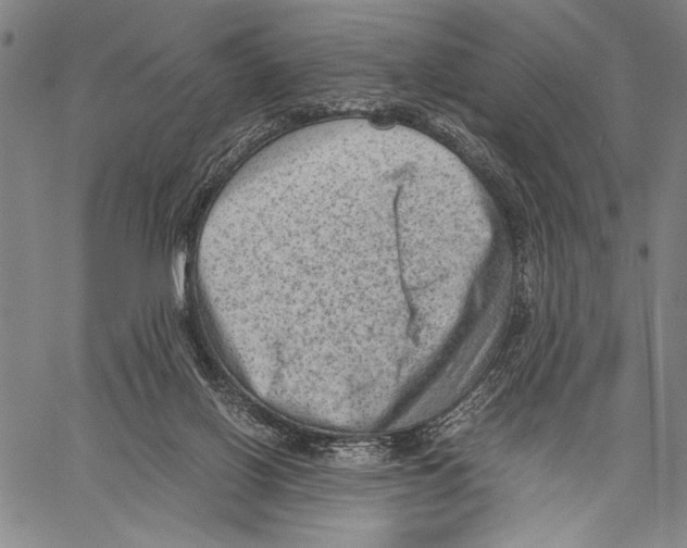 X0000060550070200512011627