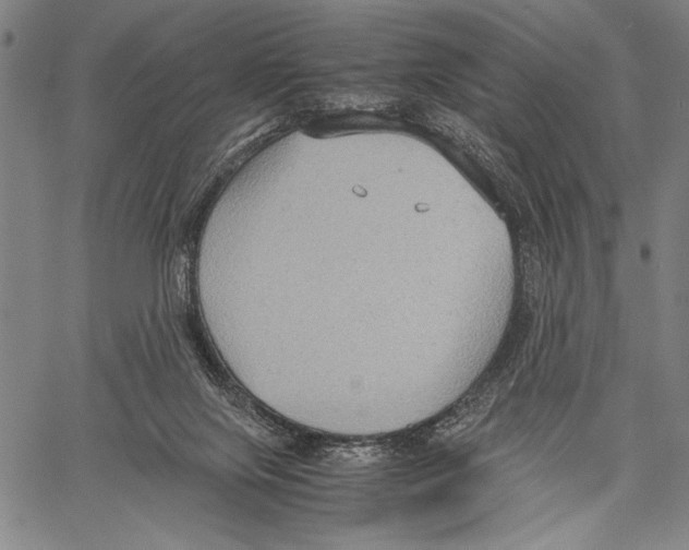 X0000060550071200512011627