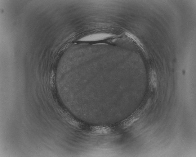 X0000060550073200512011627