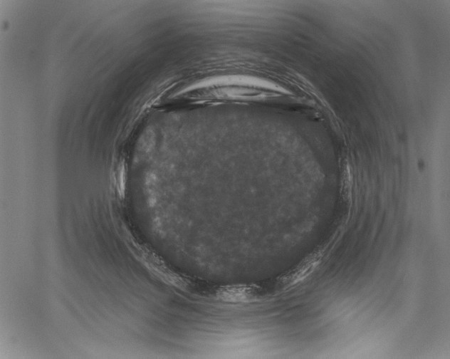 X0000060550076200512011627