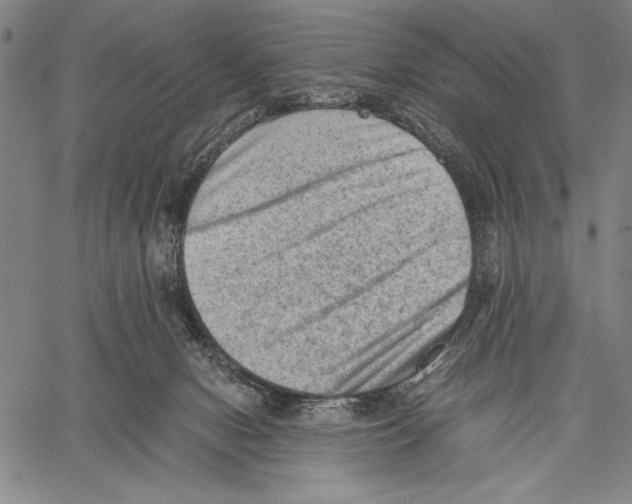 X0000060550078200512011627