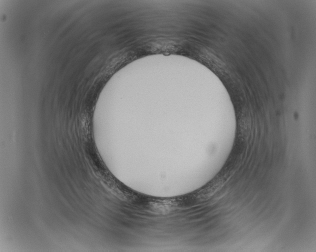 X0000060550079200512011627