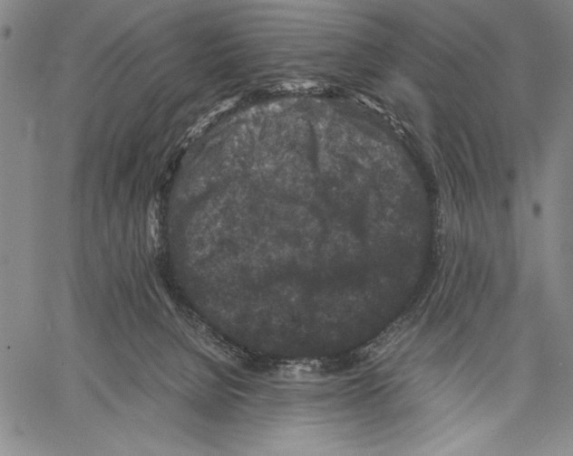 X0000060550080200512011627