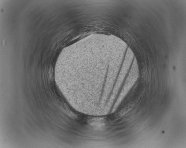 X0000060550081200512011627