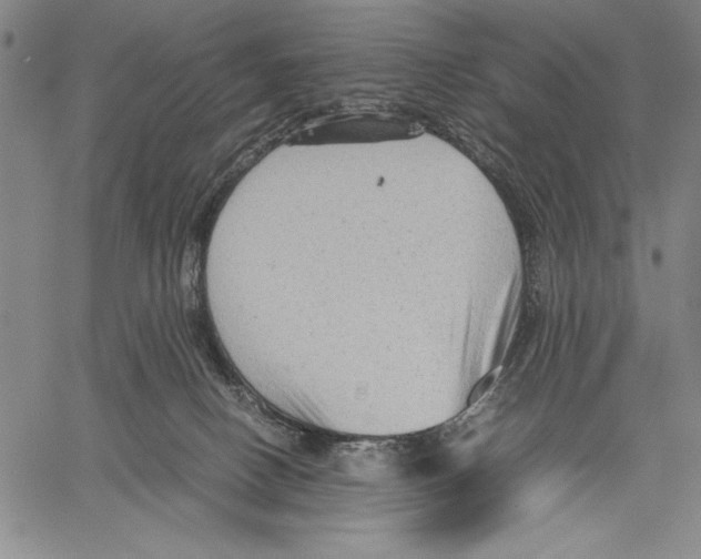 X0000060550082200512011627