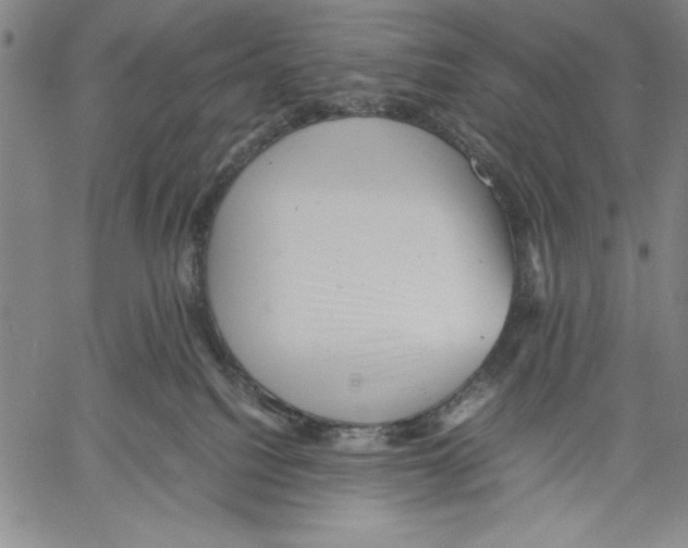 X0000060550088200512011627