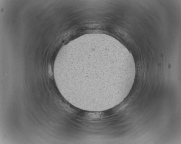 X0000060550089200512011627