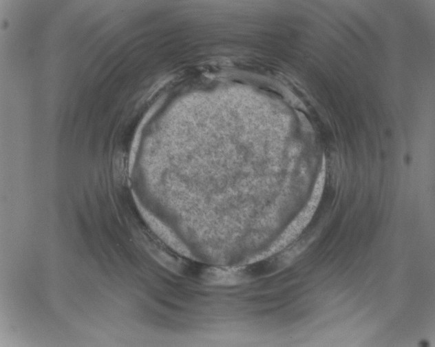 X0000060550093200512011627