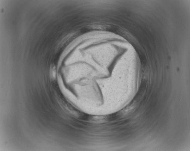 X0000060550095200512011627