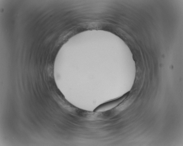 X0000060550096200512011627