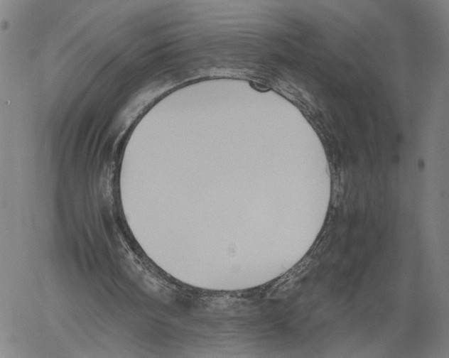 X0000060550098200512011626