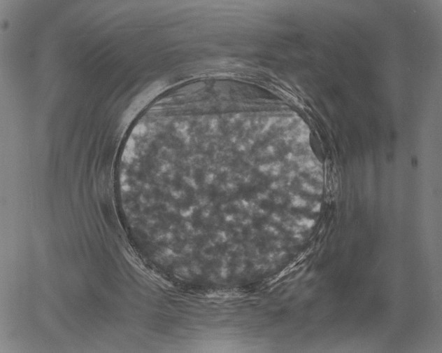 X0000060550099200512011626