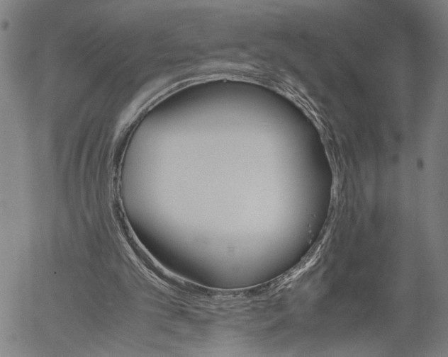 X0000060550101200512011626