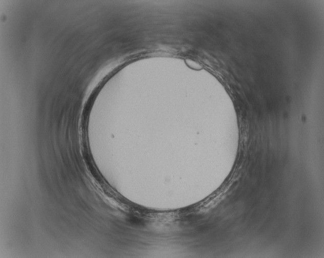 X0000060550102200512011626