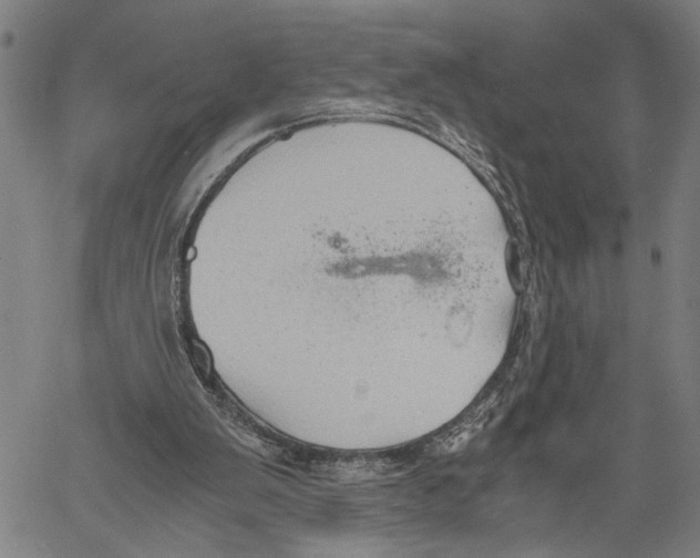 X0000060550103200512011626