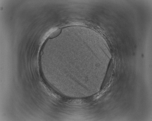 X0000060550104200512011626