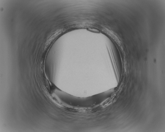 X0000060550105200512011626