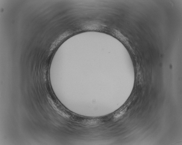 X0000060550106200512011626