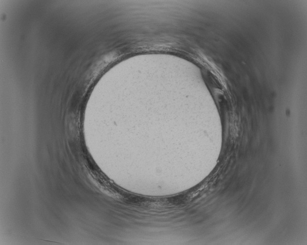 X0000060550107200512011626