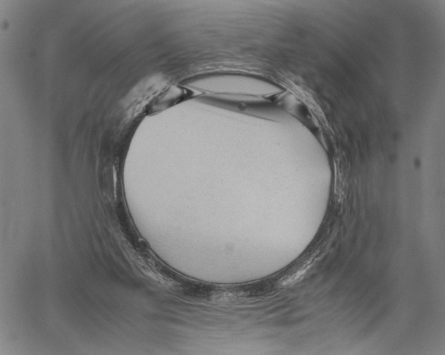 X0000060550109200512011626