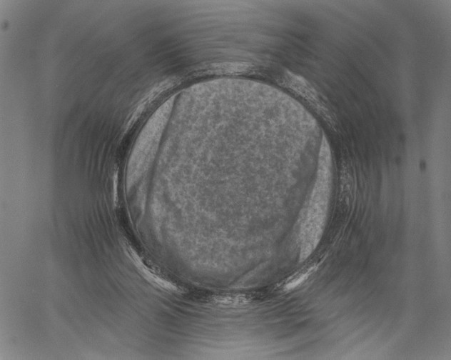 X0000060550110200512011626