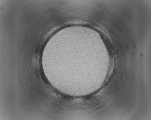 X0000060550111200512011626