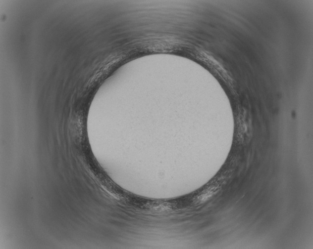 X0000060550113200512011626