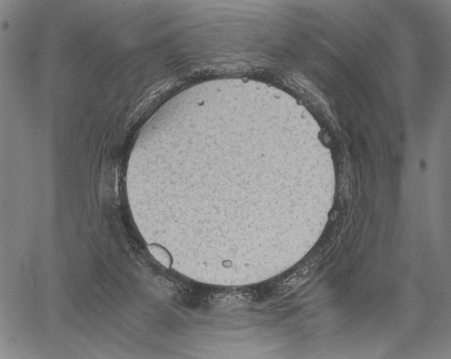 X0000060550115200512011626