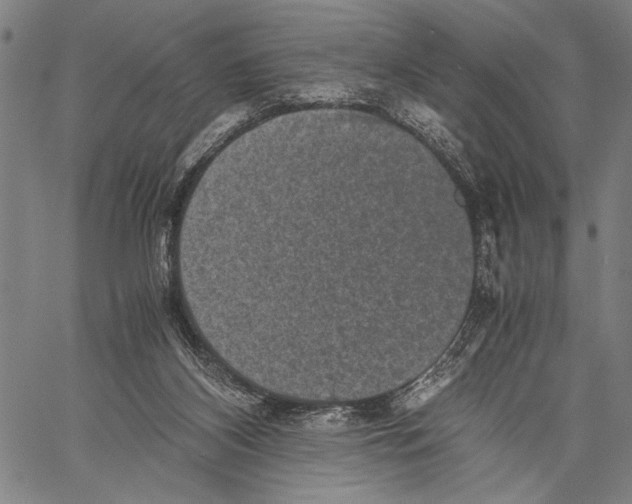 X0000060550116200512011626