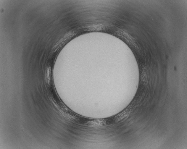 X0000060550118200512011626