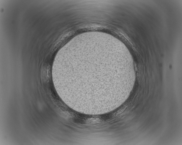 X0000060550119200512011626